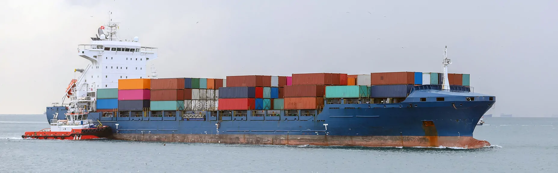 Ship brokerage and vessel chartering services